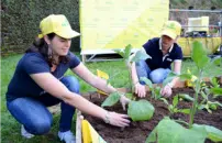 BOOM DI GIARDINIERI IN <BR> ITALIA: +51% IN 6 ANNI