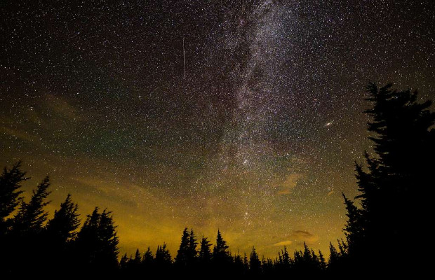 STELLE CADENTI: <BR>  PICCO FINO AL 14