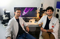 Dentro le cellule delle piante: cosÃ¬ i geni percepiscono la carenza di ossigeno e regolano il proprio sviluppo