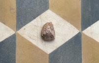 âThe Impossible Present. Caleidoscopioâ: i tanti linguaggi di Delphine Valli