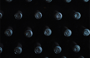 Vini, Concours Mondial de Bruxelles: medaglia dâoro a Gaudes Riserva Doc 2018 di Villa Domizia