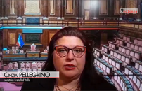 Dl flussi, Pellegrino (Fdi): Come dice sinistra siamo 