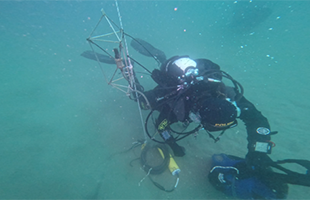 Il “battito” del mare può svelare lo stato di salute degli ecosistemi marini