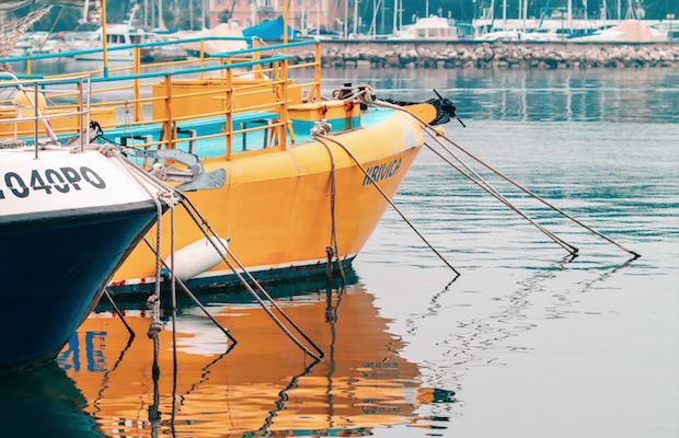 IL FERMO DELLA PESCA<br>SI ESTENDE<br> A TUTTO L'ADRIATICO