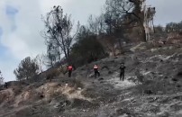ALGERIA, PER I PIROMANI <BR> SI VA VERSO IL PATIBOLO 