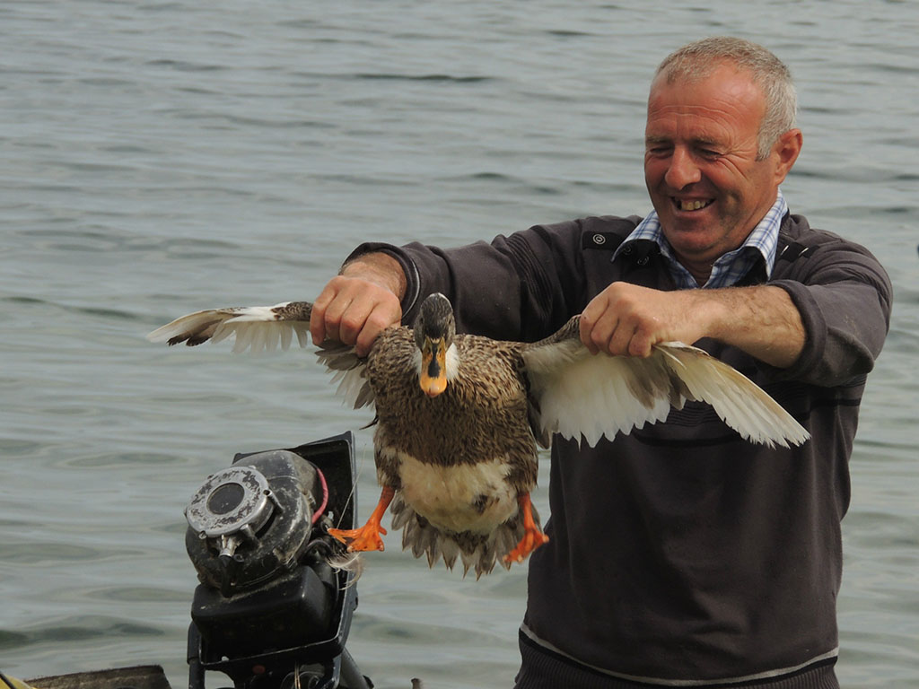 602 - Pescatore che si improvvisa cacciatore - Albania