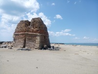  Antiche radici e natura si intrecciano a Ladispoli 