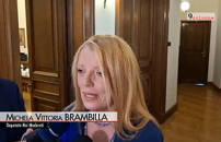 ANIMALI, BRAMBILLA (NM): DA OGGI CON MIA LEGGE PENE SEVERE PER CHI LI UCCIDE E MALTRATTA