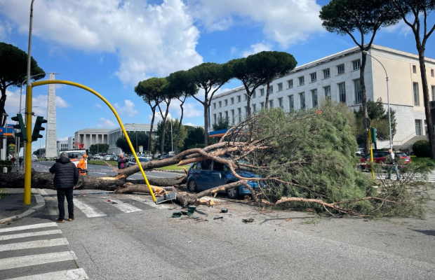 ROMA: UN PINO BLOCCA <BR> VIA C. COLOMBO