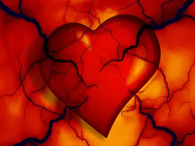 RICERCA, SU NATURE SVELATA LA FUNZIONE DELLE TRABECOLE CARDIACHE