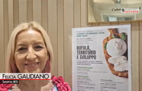Made in Italy, Gaudiano (M5S): bufala motore sviluppo per territorio campano