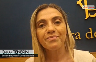 Bus turistici, Tenerini (FI): mancano 10 mila autisti, tema da affrontare   