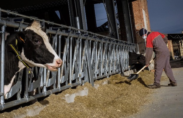 100MILA AZIENDE AGRICOLE <br> A RISCHIO CHIUSURA 