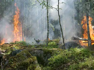 UNA TV TEDESCA IN TOSCANA PER DOCUMENTARE LE ATTIVITÃ ANTINCENDIO 