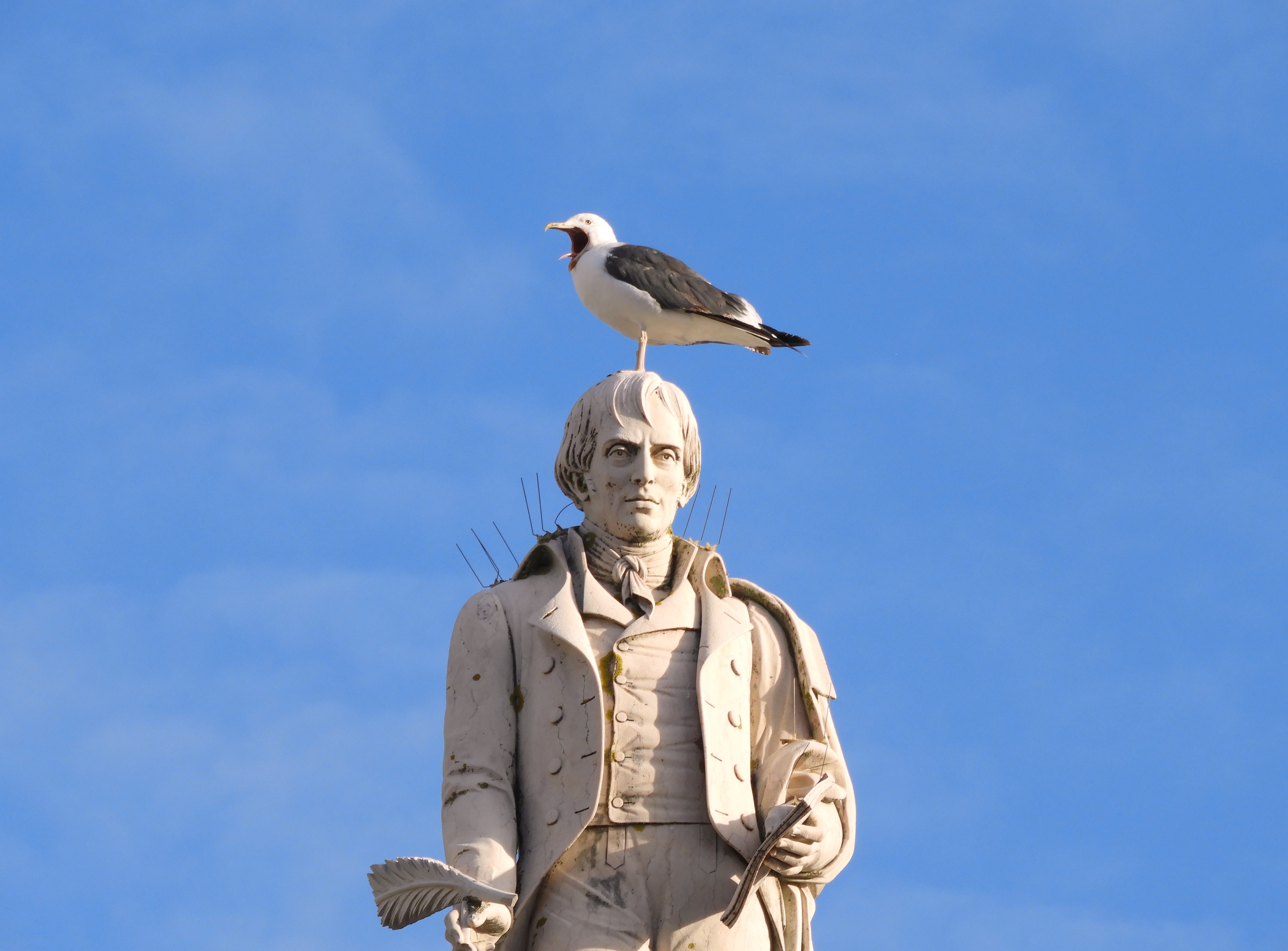 1174 - Statua del poeta Bocage a Setubal - Portogallo