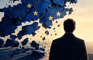 Più Europa, ma quale? <br> Una proposta per cambiare rotta