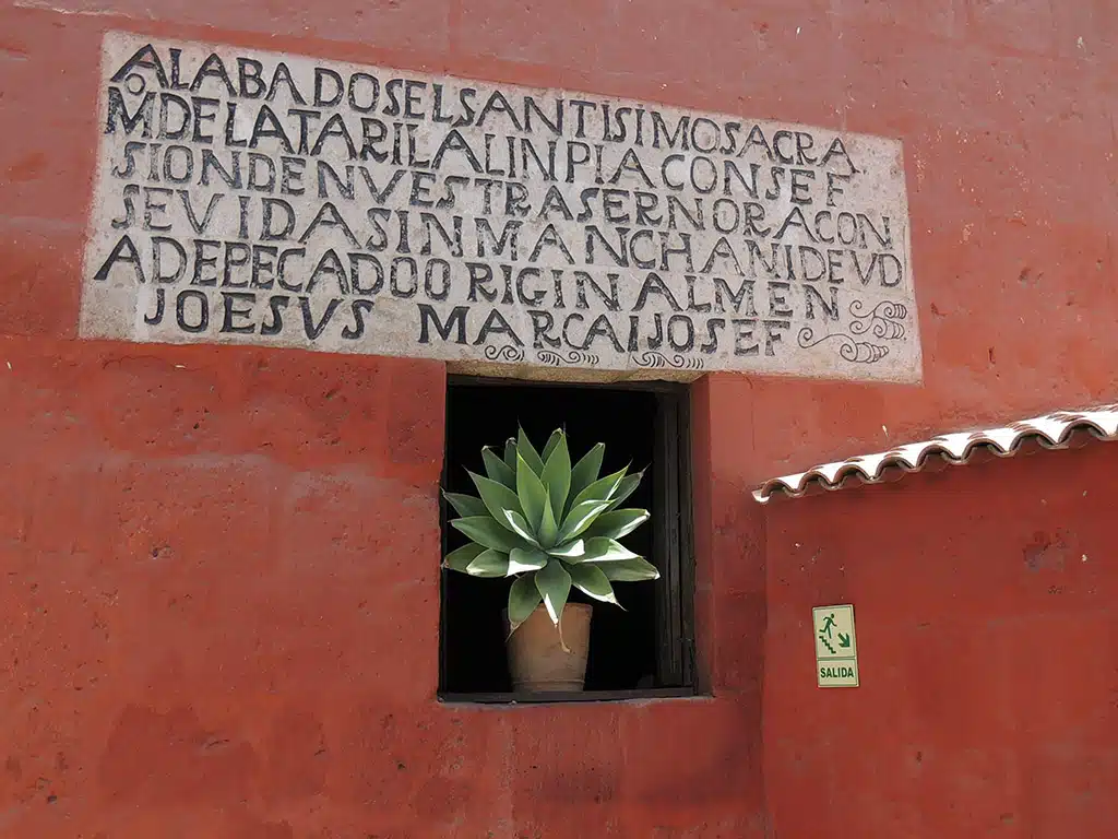 450 - Monastero di Santa Catalina  - Peru'