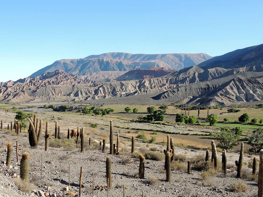 Paesaggio nella zona di Salta - Argentina