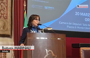 Acqua, Marinali (Utilitalia): Senza dati settore non si governa, richiamo a operatori piccoli