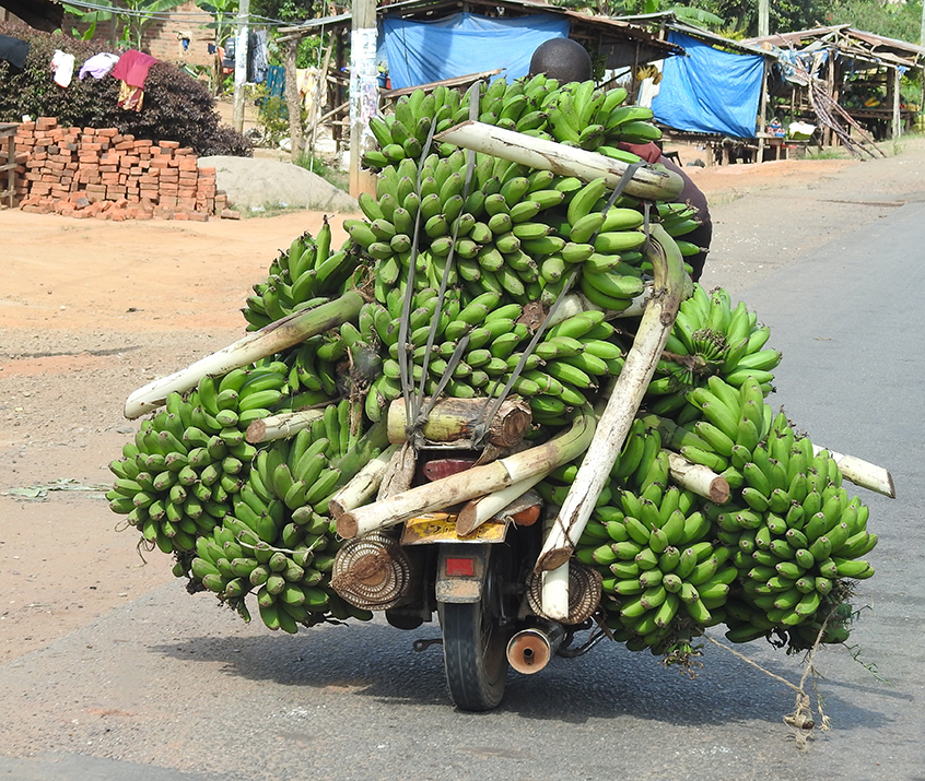 1172 - Trasporto eccezionale - Uganda