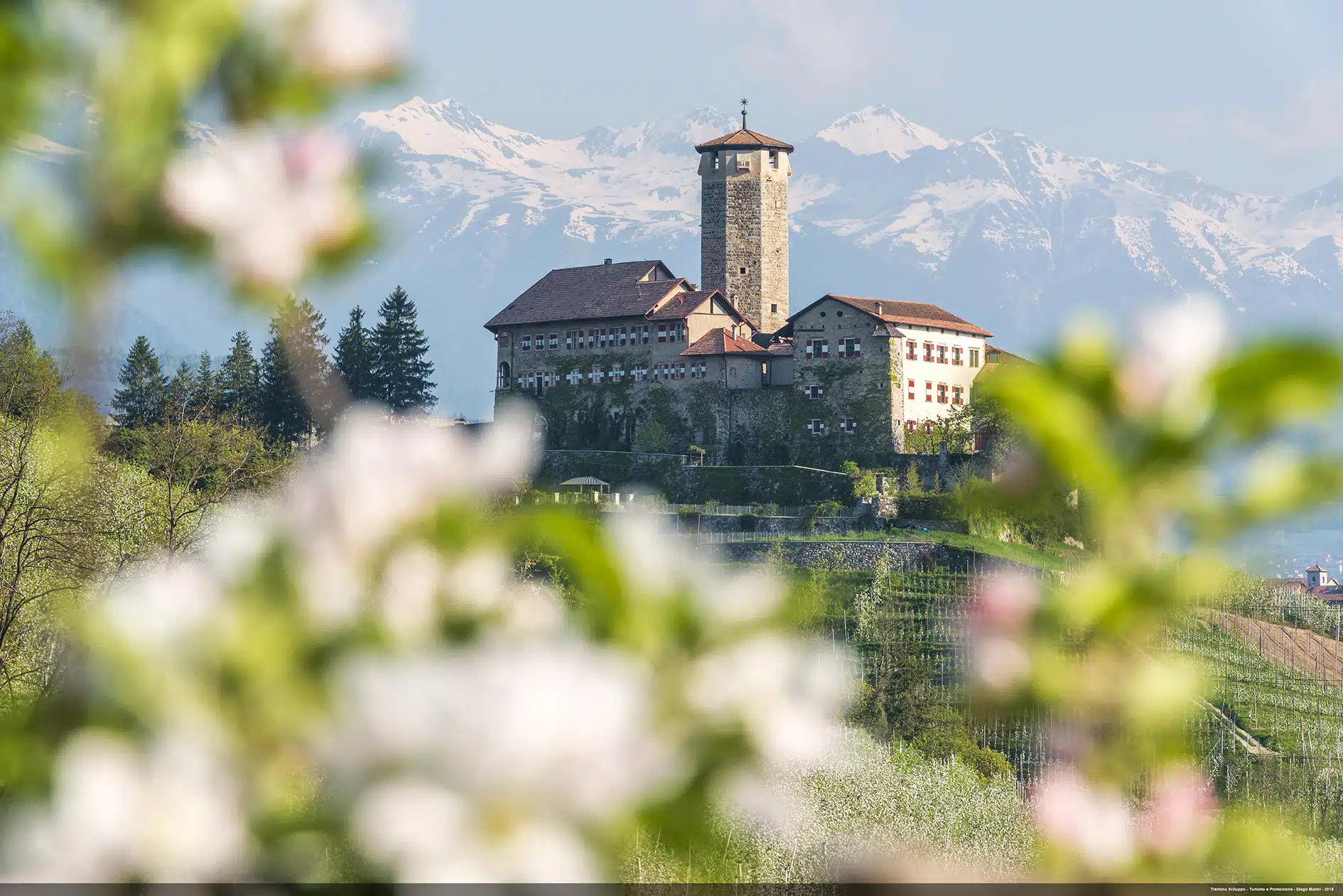 In Trentino tra castelli, boschi e laghi