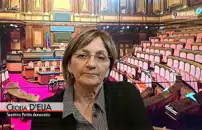 Pd, D'Elia: da Schlein proposta nuova, saprÃ  tenere unito partito
