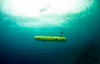 L'APPELLO DELL'ONU :<BR> PRESERVARE GLI OCEANI