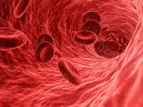 Su Lancet ricerca italiana su proteina del sangue che predice rischio cancro e infarto