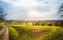 Pensiamo al ripristino degli ecosistemi