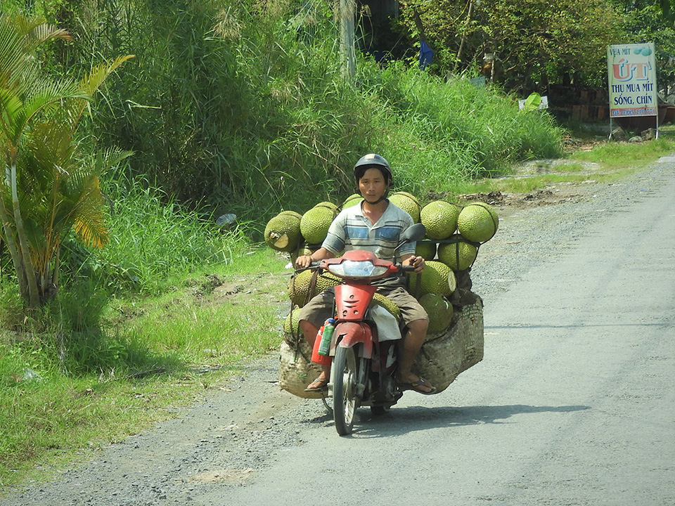 1086 - Trasporti eccezionali - Vietnam 