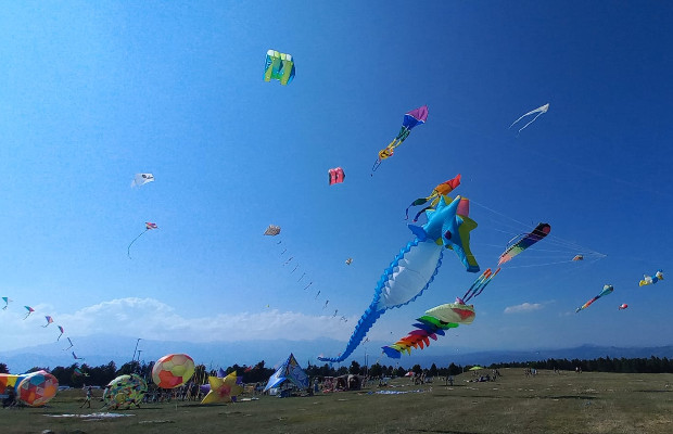 NEL PICENO AL VIA <br> IL FESTIVAL DELL'ARIA