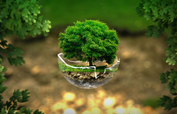 C’era un volta l’ecosistema