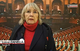 Ice, Zanella (Avs): Commemorazione Good e Pretti strumentalizzata, Lega rincorre Vannacci 