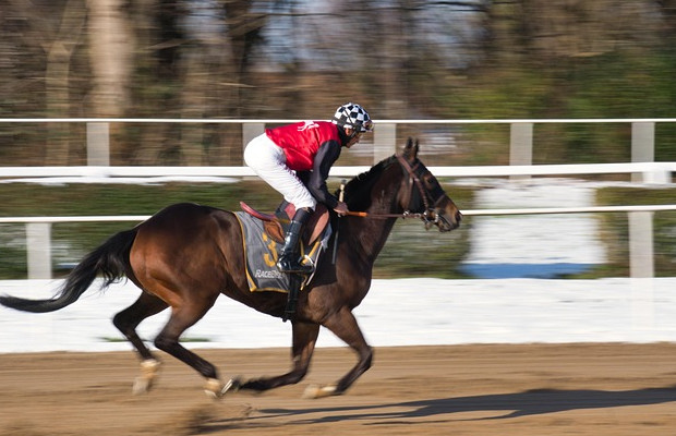 Celebrazione del partenariato italo-francese nel settore ippico 