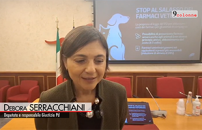 ANIMALI, SERRACCHIANI (PD): ABBASSARE PREZZI FARMACI VETERINARI ANCHE PER SICUREZZA UMANA