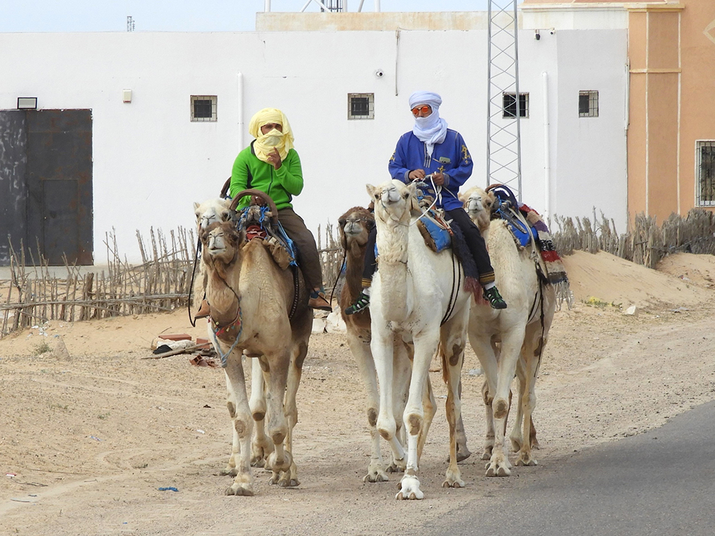 Trasporti locali - Tunisia 