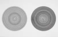 Parma: Massimo Bartolini archeologo da vinile