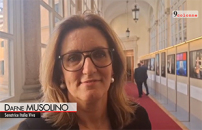 Governo, Musolino (Iv): da premier intervento surreale, iniziata la caduta   