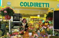 PASQUA TRA PIANTE E FIORI, COME SCEGLIERLI