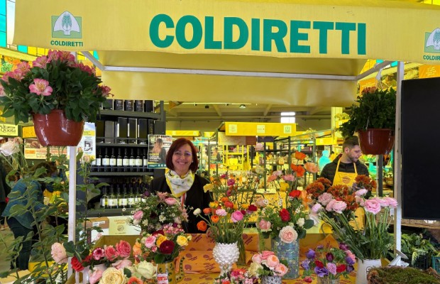 PASQUA TRA PIANTE E FIORI, COME SCEGLIERLI