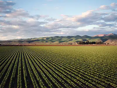 Italian companies at Agritec Africa Fair