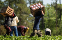 AGRICOLTURA, MINISTERI <BR> CONTRO CAPORALATO