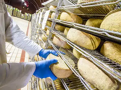 MADE IN ITALY, PECORINO TOSCANO DOP RENDE OMAGGIO A LINA WERTMÃLLER