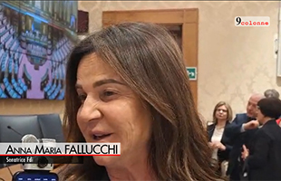 Scuola, Fallucchi (FdI): Il liceo del Made in Italy di Torremaggiore va sostenuto