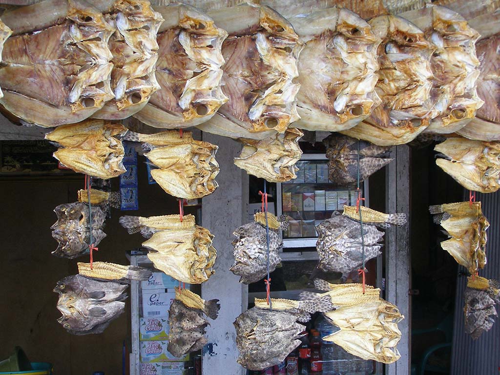 487 - Sulawesi pesce essiccato - Indonesia