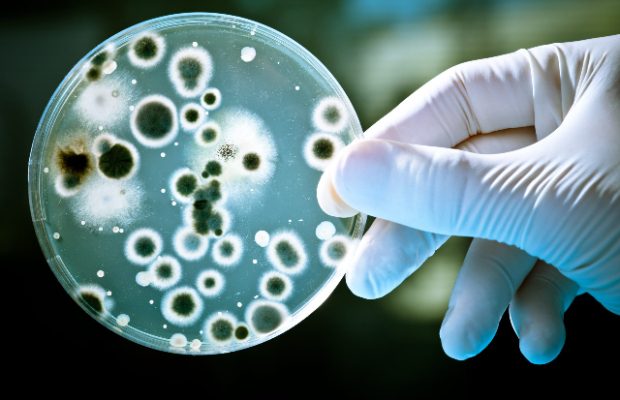 IL 28 MAGGIO LA “FINALE” <BR> DI MAD FOR SCIENCE