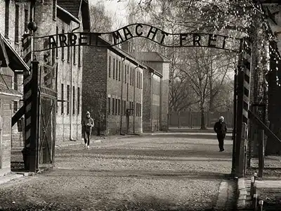 COME UNA RANA DâINVERNO: TRE DONNE AD AUSCHWITZ 
