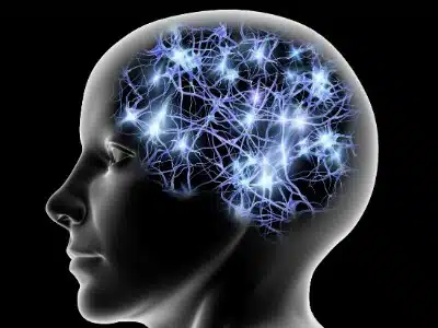 RICERCA, VOTI A DESTRA O SINISTRA? LO DICE LâELETTRICITÃ NEL CERVELLO