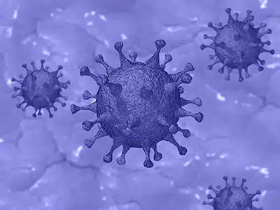 SARS-COV-2, SU âINTERNATIONAL JOURNAL OF INFECTIOUS DISEASESâ PRIMO CASO DI ISOLAMENTO DA LATTANTE