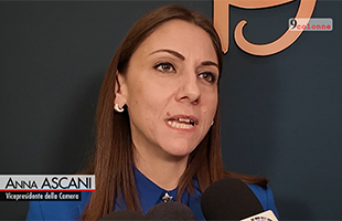 Asvis, Ascani (Pd): servono politiche a lungo termine per giovani generazioni  